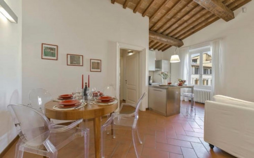 Restful 1-bedroom apartment near Basilica di Santa Trinita - Gallery - 17