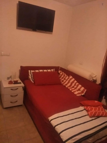 Quiet Single Bedroom Close To The Faculty Of Agriculture - 1