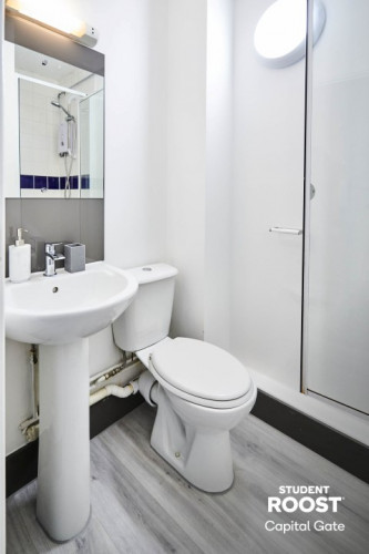  En-Suite Silver  -  Capital Gate Roost  - Gallery -  4