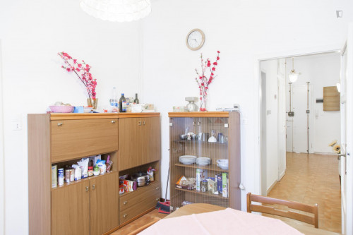 Large double bedroom in a 4-bedroom flat in the Bolognina district