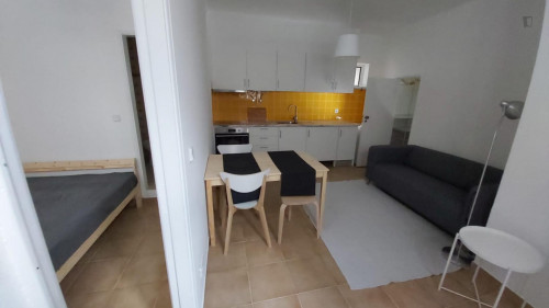 1-bedroom apartment - Gallery - 8