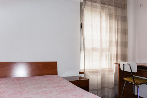 Single bedroom in 4-bedroom apartment  - Gallery -  5