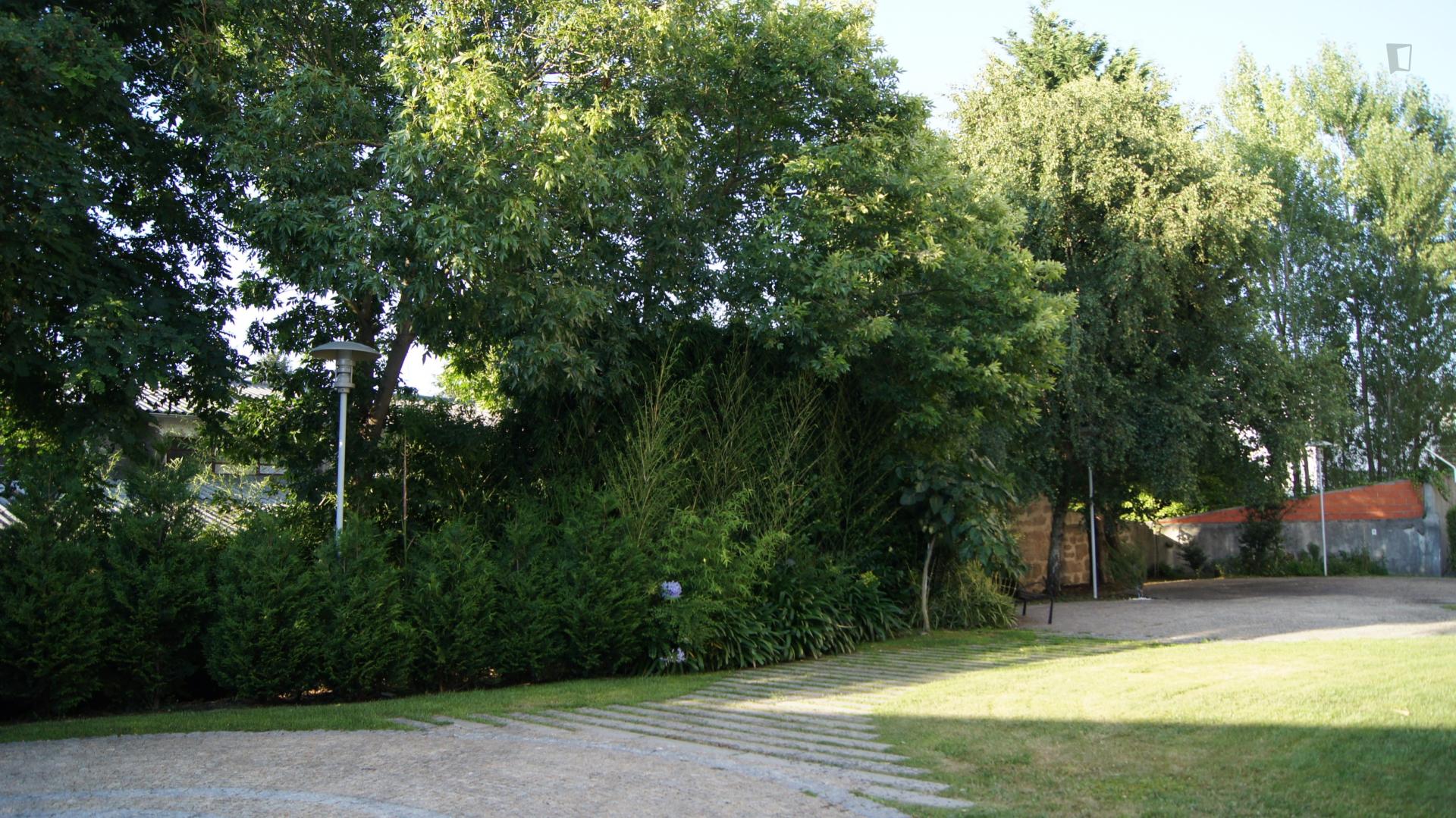 Modern studio in Cedofeita