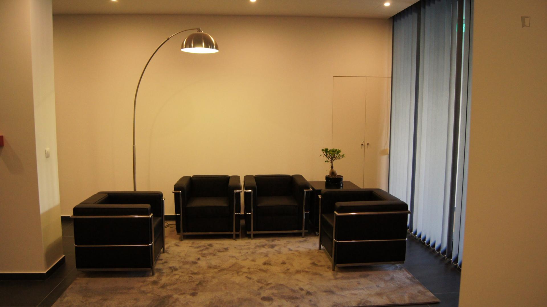 Modern studio in Cedofeita