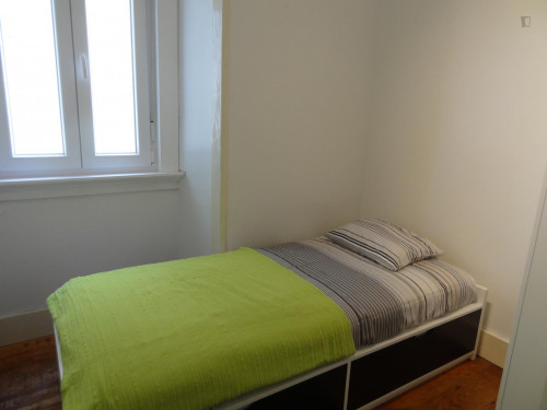 Cosy single bedroom near Jardim Zoológico metro station  - Gallery -  1