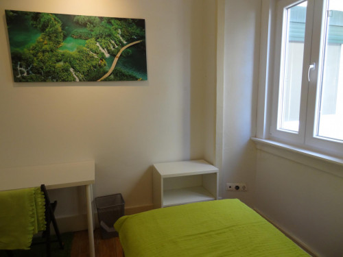 Cosy single bedroom near Jardim Zoológico metro station  - Gallery -  2