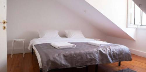 Homely double bedroom in a student flat, in São Bento  - Gallery -  1