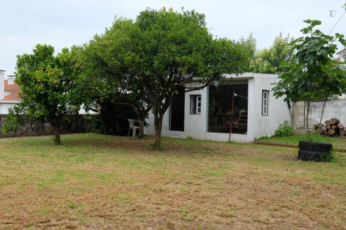 Studio near Faculdade De Economia Da Universidade De Coimbra - Gallery - 18