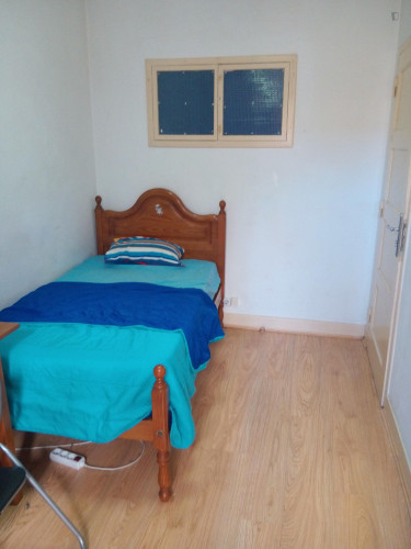 Snug Single Bedroom close to Universidade de Coimbra  - Gallery -  3