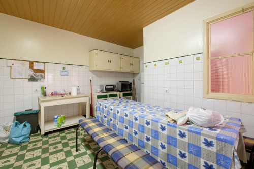 Modest single bedroom next to Universidade de Coimbra - Gallery - 16