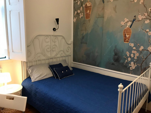  Amazing Double Bedroom Near The Saldanha And Main Universities  -  Amazing double bedroom near the Saldanha and main Universities  - Gallery -  3