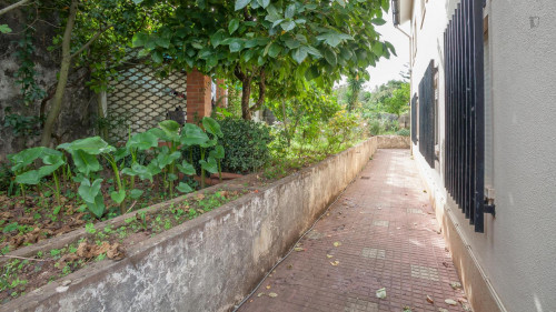 Single ensuite bedroom in well-connected Cidral neighbourhood - Gallery - 21