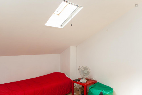 Single bedroom near Jardim Botânico da Universidade de Coimbra - Gallery - 22