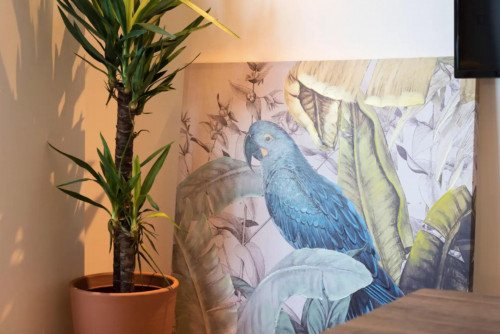 Cosy studio in Bonfim - Gallery - 3