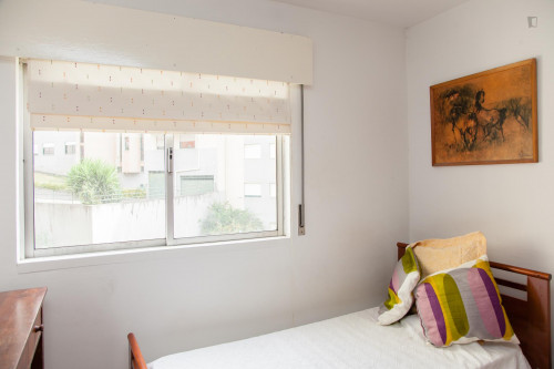 Practical single ensuite bedroom close to Coimbrashopping - Gallery - 12