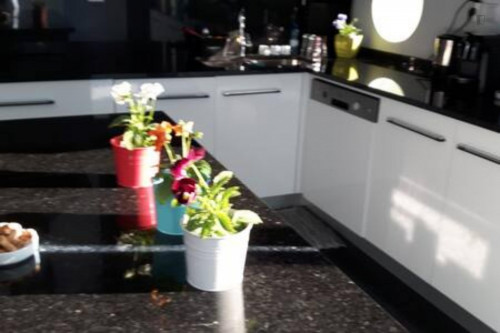4-Bedroom house near Casa de Godim - Gallery - 17