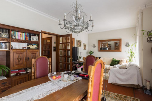 Snug single bedroom in Pedrouços - Gallery - 5