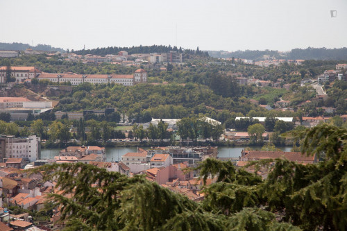 Great single bedroom not far from Museu da Ciência da Universidade de Coimbra