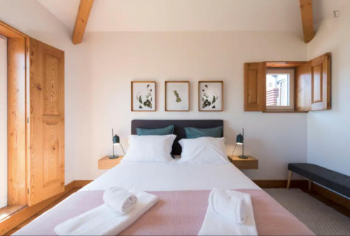 Cardosas Palace Apartment  - Gallery -  5