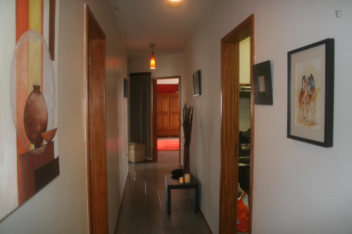 Homely double bedroom in busy Campanhã