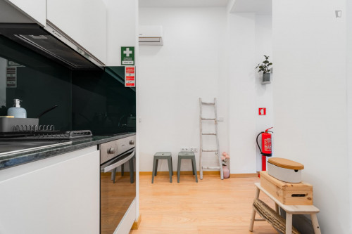 Lovely 1-bedroom apartment next to Faculdade de Belas Artes in Porto - Gallery - 14