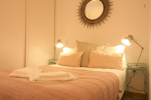 Lovely 1-Bedroom Apartment Next To Faculdade De Belas Artes In Porto - 2