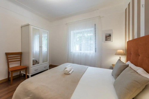 Practical and convenient apartment in Porto