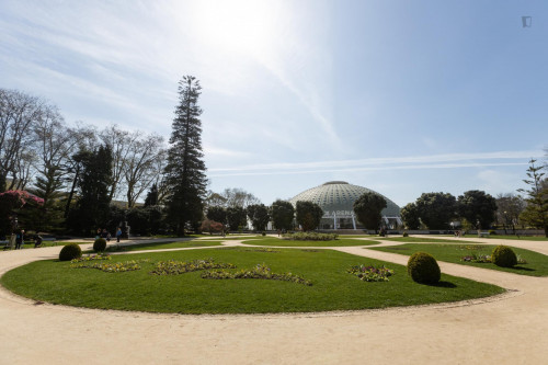 Vilar Charming Studio near Jardins do Palácio de Cristal - Gallery - 18