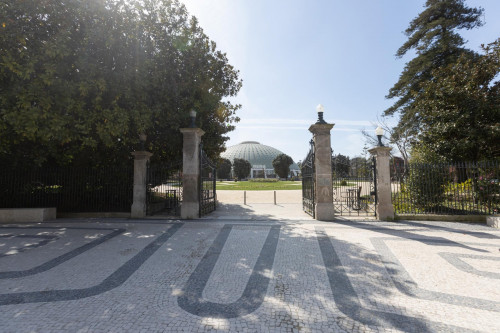 Vilar Charming Studio near Jardins do Palácio de Cristal - Gallery - 16