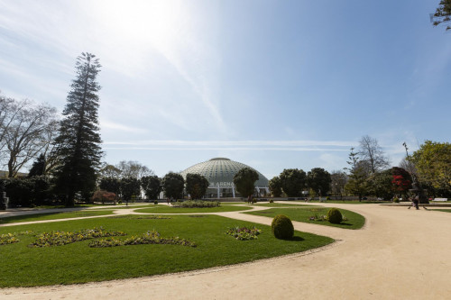 Vilar Charming Studio near Jardins do Palácio de Cristal - Gallery - 17