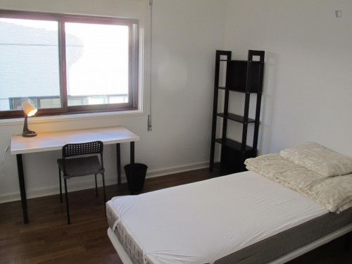 Cozy and sunny 4-bedroom apartment close to Coimbra train station - Gallery - 31