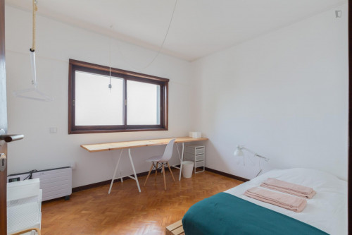 Sunny Single Bedroom Near Universidade Lusíada Do Porto - 1