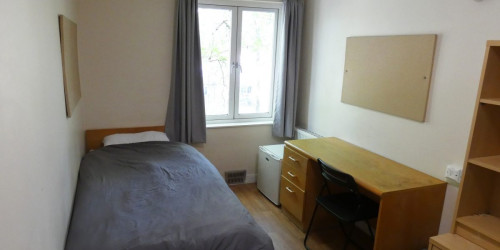  Single Room  -  Davies Court  - Gallery -  1