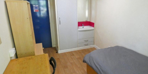  Single Room  -  Davies Court  - Gallery -  2