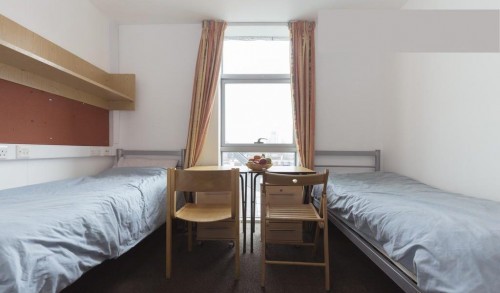  Twin En-Suite  -  Davies Court  - Gallery -  1