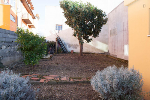Comfy and bright single bedroom in Coimbra - Gallery - 9