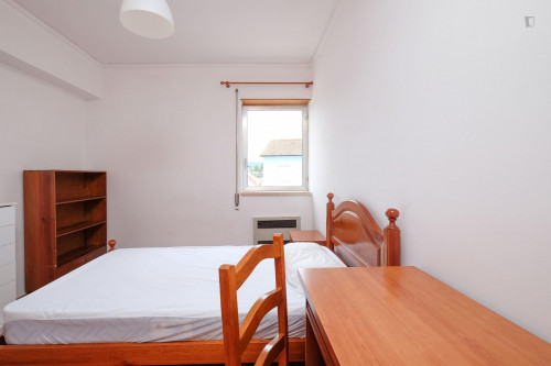 Pleasant single room in Conchada