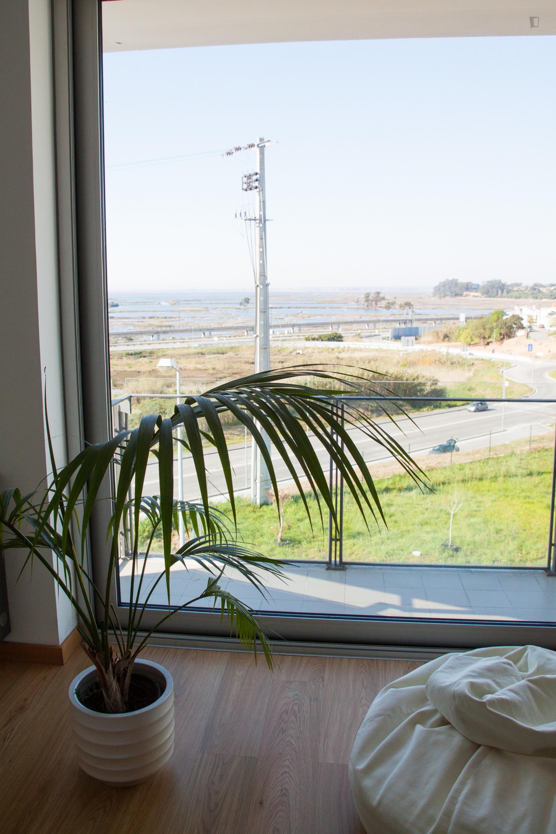 1-bedroom apartment, with outdoor area