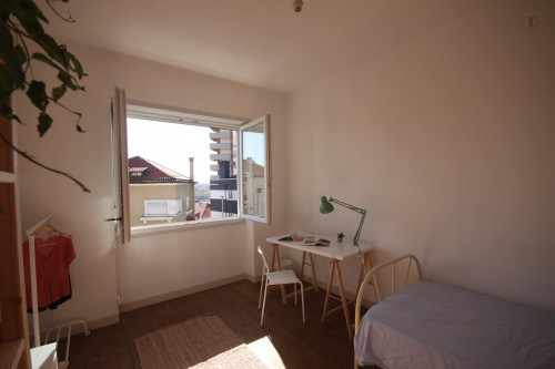 Lovely and shiny single bedroom in Coimbra - Gallery - 29