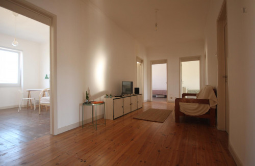 Lovely and shiny single bedroom in Coimbra  - Gallery -  3
