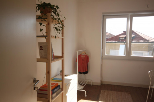 Lovely and shiny single bedroom in Coimbra - Gallery - 27