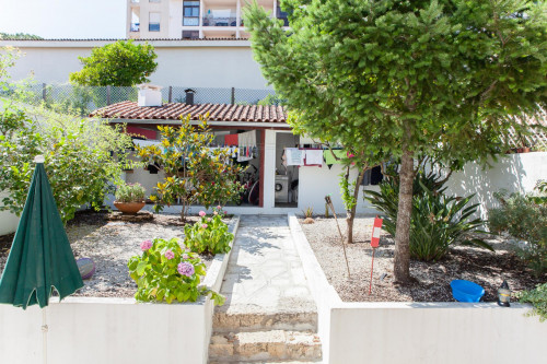Single bedroom near Jardim Botânico da Universidade de Coimbra - Gallery - 3