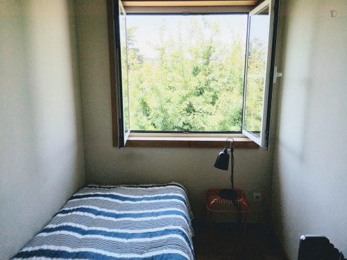  Single Bedroom In A 5-Bedroom Apartment Near Jardim Fernando Pessa  -  Single bedroom in a 5-bedroom apartment near Jardim Fernando Pessa  - Gallery -  1