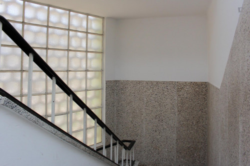 Único quarto em um apartamento de 5 quartos perto Escola Superior de Educação de Coimbra, os machos única