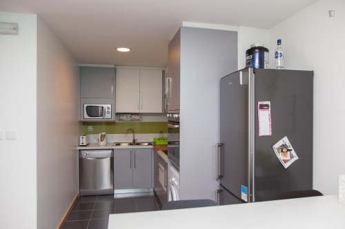 Very nice double bedroom for a student, near the Jardim Botânico da Universidade de Coimbra