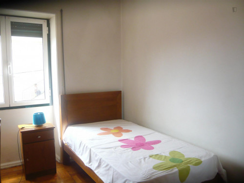 Admirable single bedroom in Montes Claros