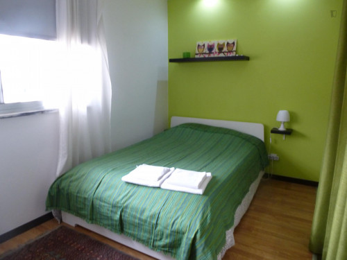 Graceful studio apartment in the city's downtown area