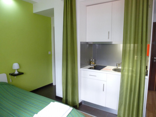 Graceful studio apartment in the city's downtown area
