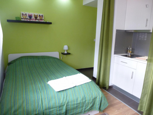  Graceful Studio Apartment In The City's Downtown Area  -  Graceful studio apartment in the city's downtown area  - Gallery -  2