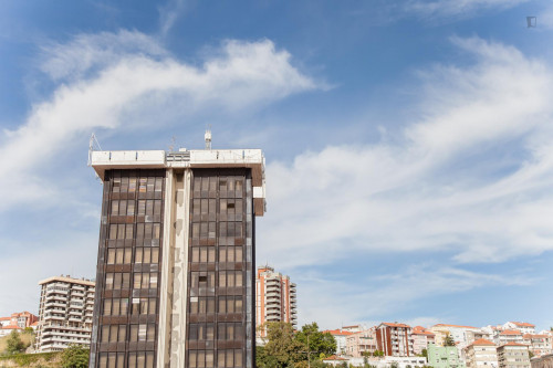 Very cool studio apartment near Coimbra's main university campus
